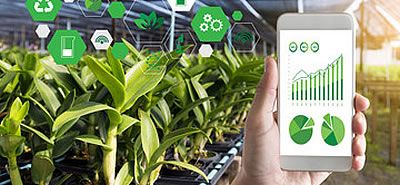 Pilot 14 Big Data and IoT for the Agricultural Insurance Industry